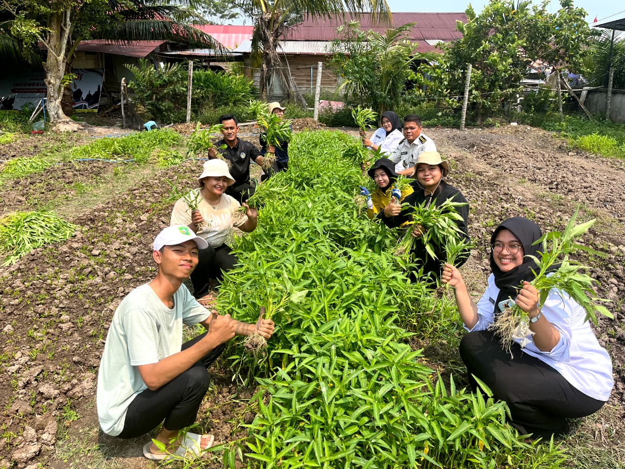 Lapas Bengkalis Panen Kangkung 150 Kg