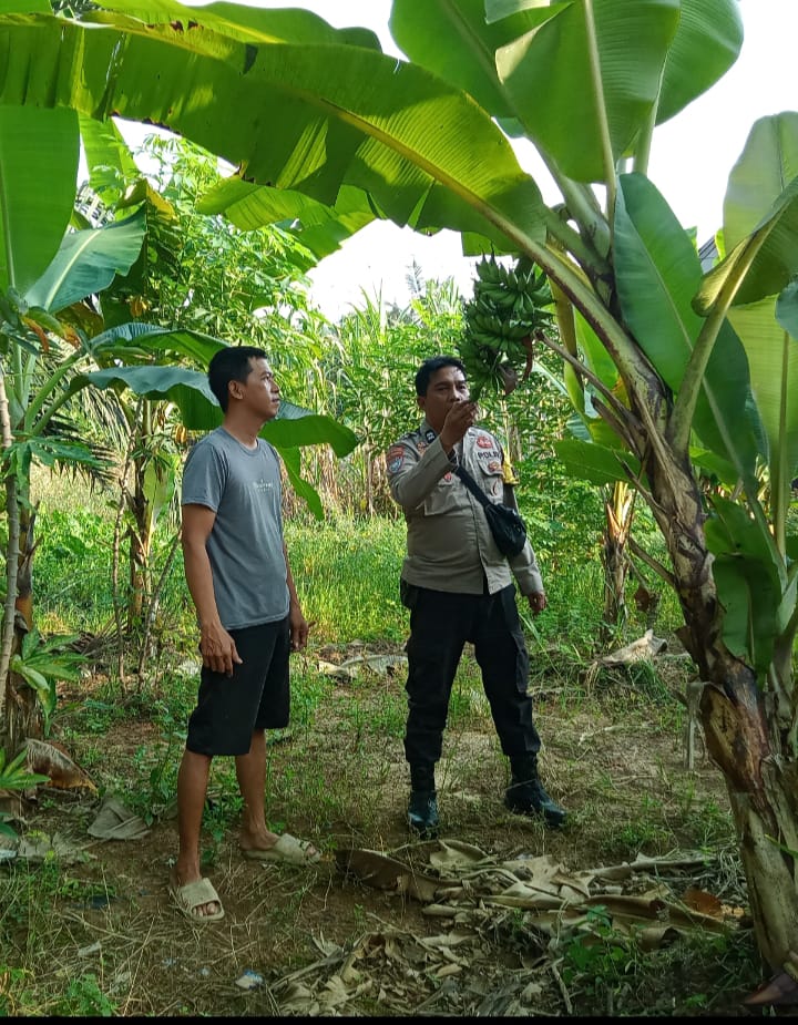 Kawal Ketahanan Pangan Nasional Bhabinkamtibmas STDI Turun Langsung Lahan 