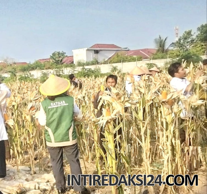 Pelindo Tegaskan Dukungan terhadap Program Ketahanan Pangan