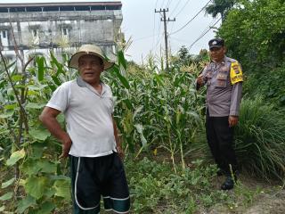 Hujan Pagi Tak Halangi Bhabinkamtibmas Cek Ketahanan Pangan di Bumi Ayu