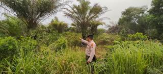 Polsek Dumai Timur Sisir Tiga Lokasi Karhutla
