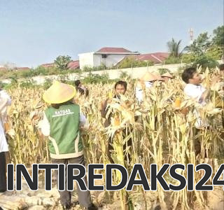 Pelindo Tegaskan Dukungan terhadap Program Ketahanan Pangan